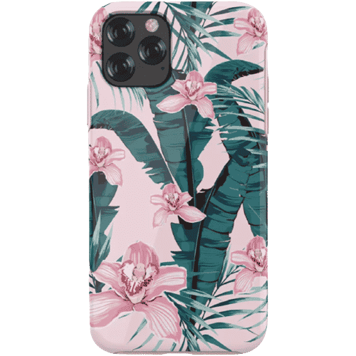 5 Sugestões de Prendas Apple 2 5 Sugestões de Prendas Apple 2