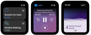 8 Aplicações Úteis Para Apple Watch 9 app calm