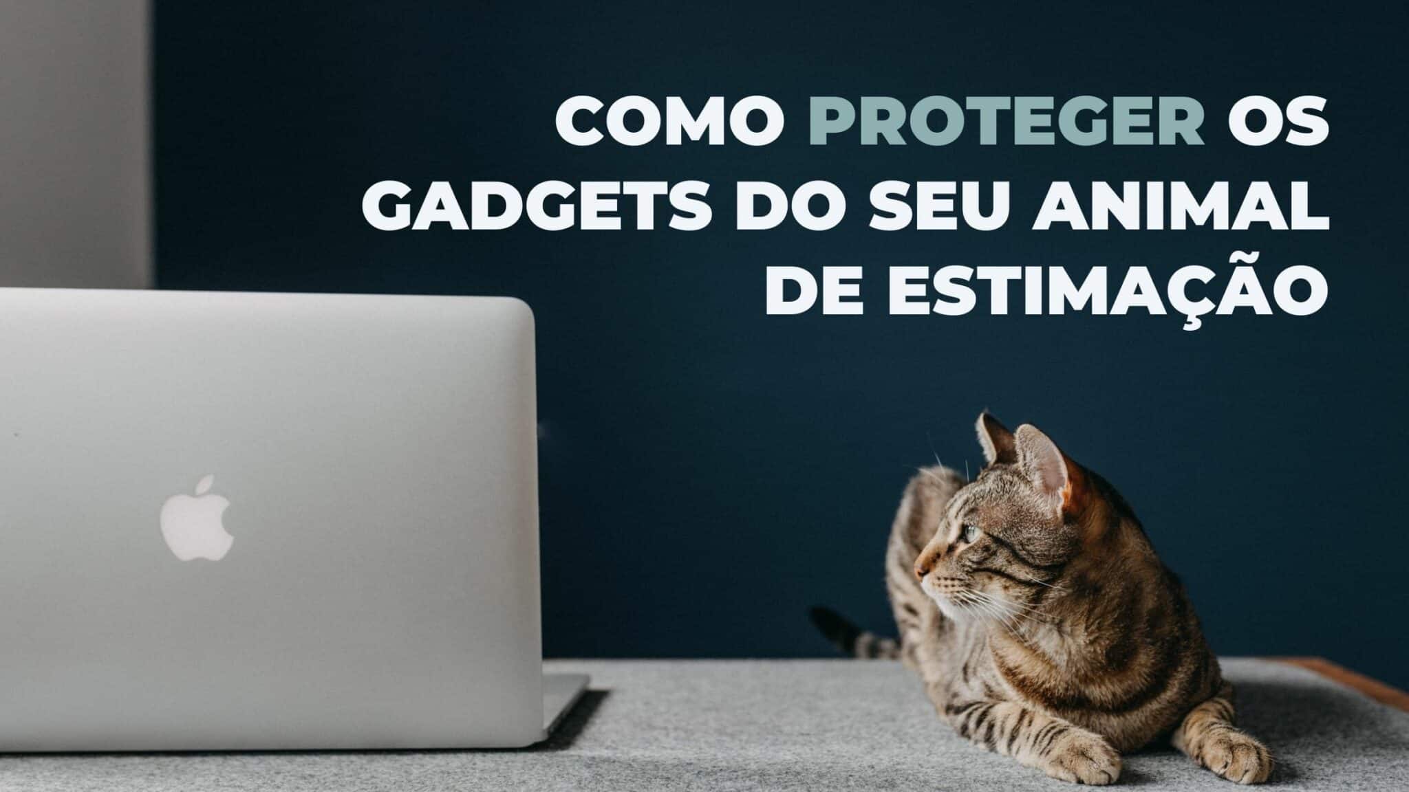 Tecnologia e Animais de Estimação: Proteja os seus Gadgets 1