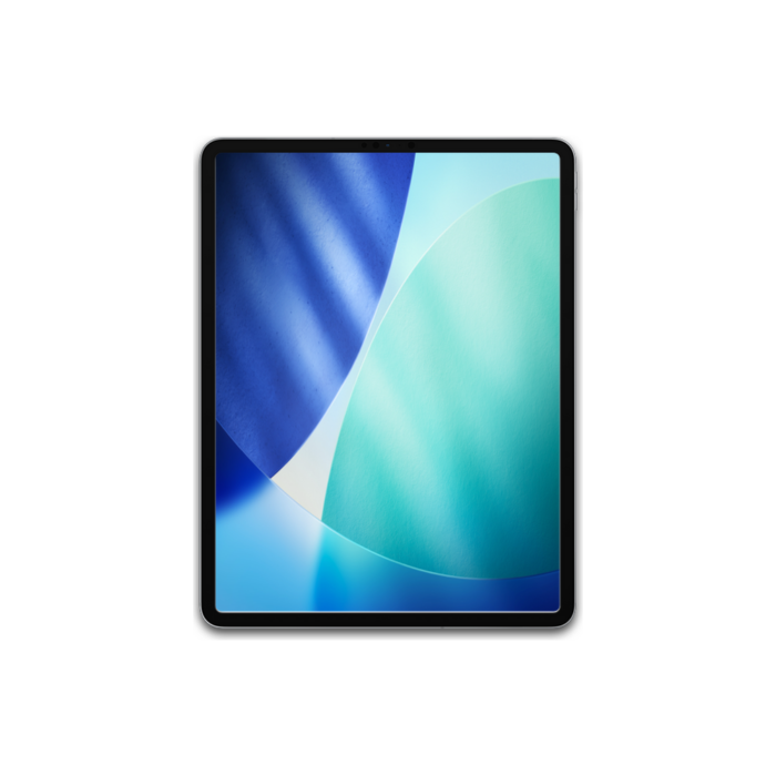 Apple iPad Pro 12.9" 5th Gen (2021) 512GB WiFi + Cellular / Cinzento / Grau B