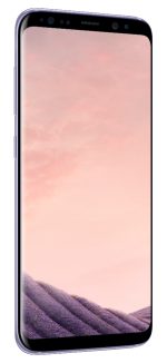 Samsung Galaxy S8 64GB G950F Cinzento recondicionado Grau BC - detalhe