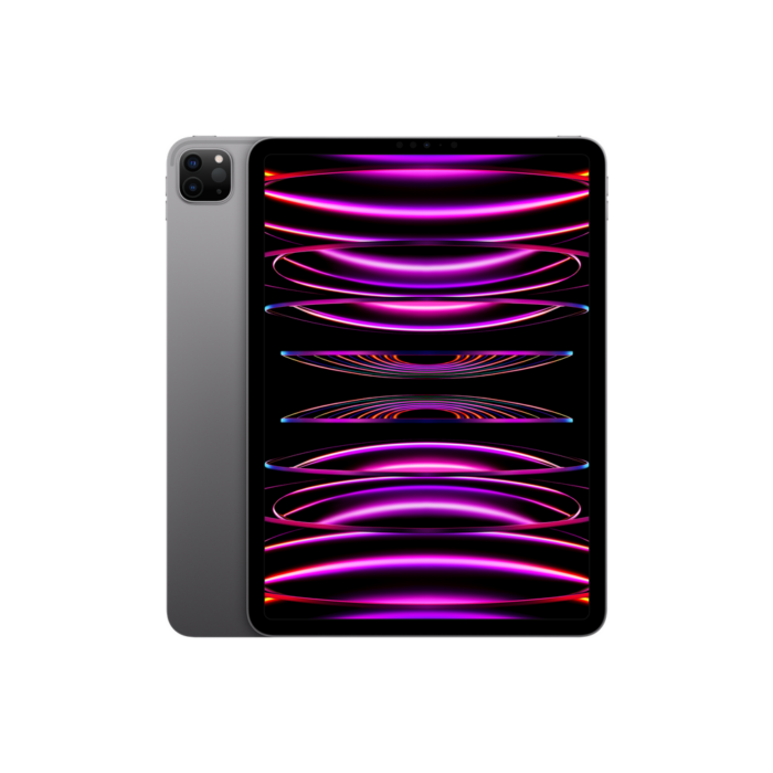 Apple iPad Pro 11" M4 5th Gen (2024) 256GB WiFi / Black / Grade B