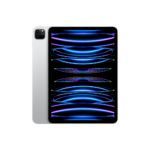 Apple iPad Pro 11" M4 5th Gen (2024) 2TB WiFi + Cellular / Argenté / Grade B