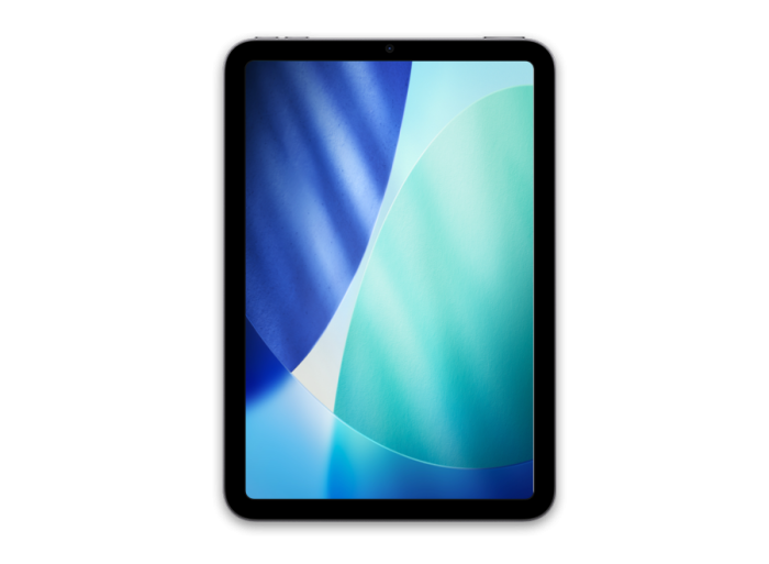 Apple iPad Mini 8.3" 6th Gen (2021) 64GB WiFi + Cellular / Roxo