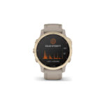 Garmin Fenix 6S Pro / Grade A