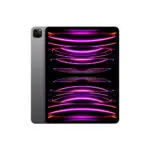 Apple iPad Pro 12.9" 6e génération (2022) 128GB WiFi + Cellulaire / Gris / Grade B