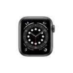 Apple Watch Series 6 40mm GPS + Celular Caja de Aluminio / Grado C