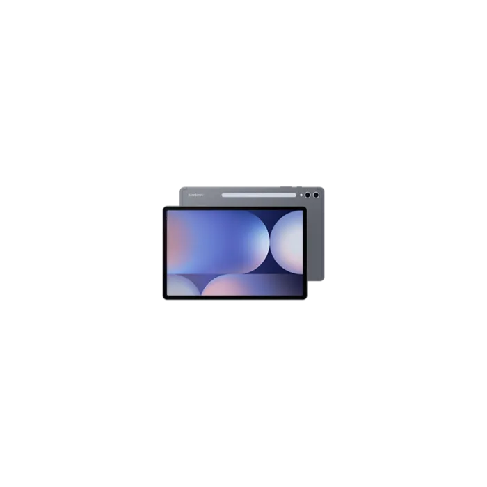 Samsung Galaxy Tab S10 Plus 256GB WiFi X820 / Grigio / Grado B