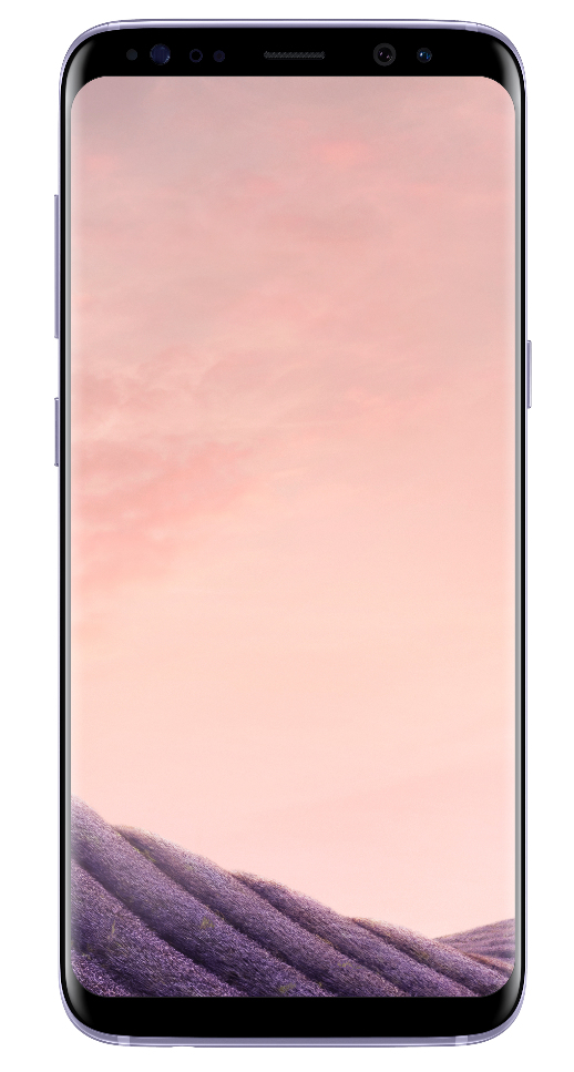 Samsung Galaxy S8 64GB G950F / Gris / Grade BC