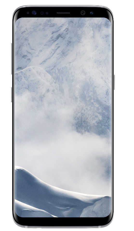 Samsung Galaxy S8 64GB G950F / Argenté / Grade BC