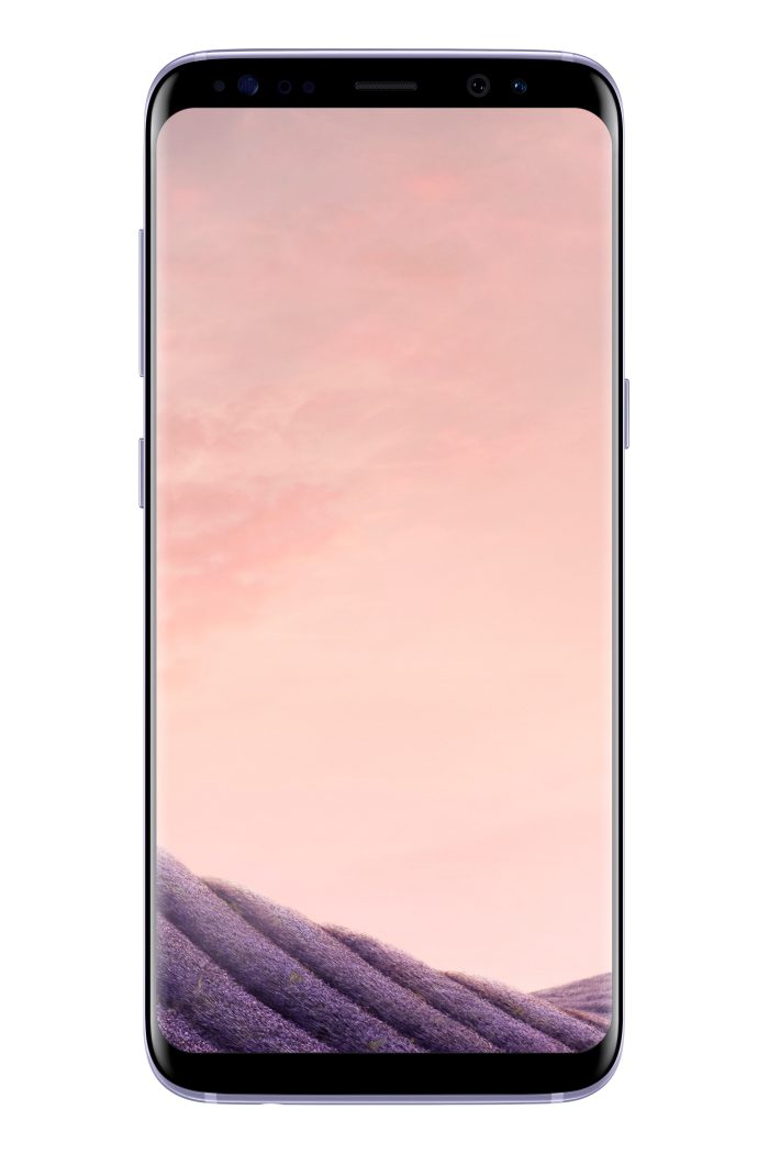 Samsung Galaxy S8 64GB G950F / Gris / Grade BC