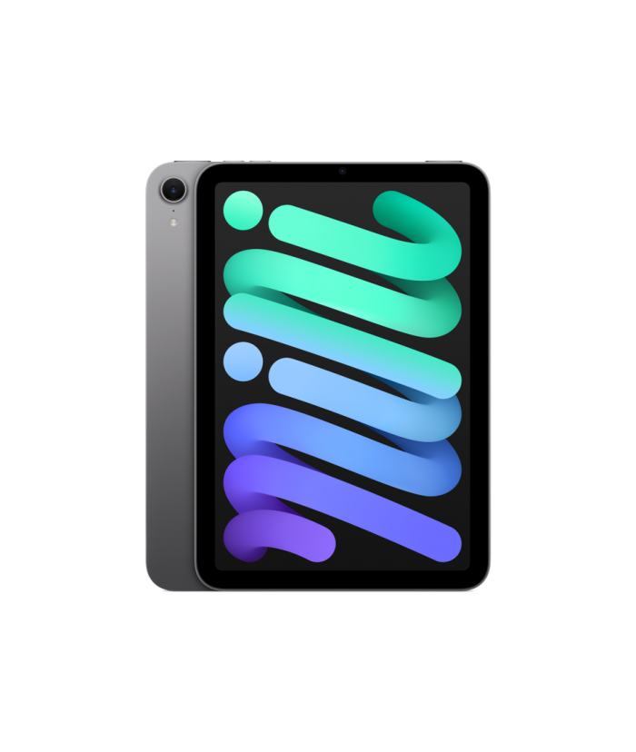 Apple iPad Mini 7.9" 4th Gen (2015) 128GB WiFi / Gris / Grade BC