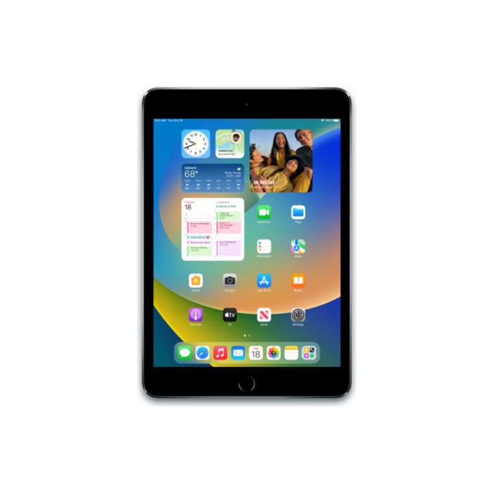 Apple iPad 9.7" 5th Gen (2017) 32GB WiFi + Cellular — Prateado — Grau Premium