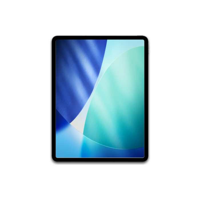 Apple iPad Pro 12.9" 3rd Gen (2018) 256GB WiFi + Cellular / Gris / Grade A