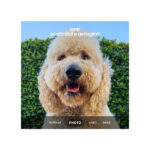 Samsung Galaxy S23 Plus 5G 256GB S916B 256GB Verde recondicionado Grau B