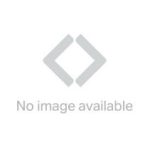 Apple iPad Pro 9.7" 1st Gen (2016) 128GB WiFi + Cellular / Gris / Grade B