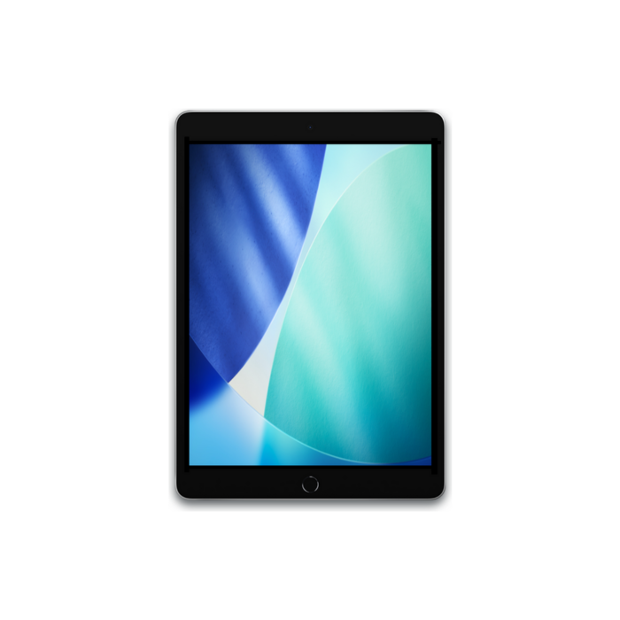 Apple iPad 10.2" 9th Gen (2021) 64GB WiFi + Cellular / Argenté