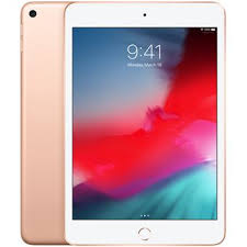 Apple iPad Mini 7.9" 5th Gen (2019) 64GB WiFi / Doré / Grade B
