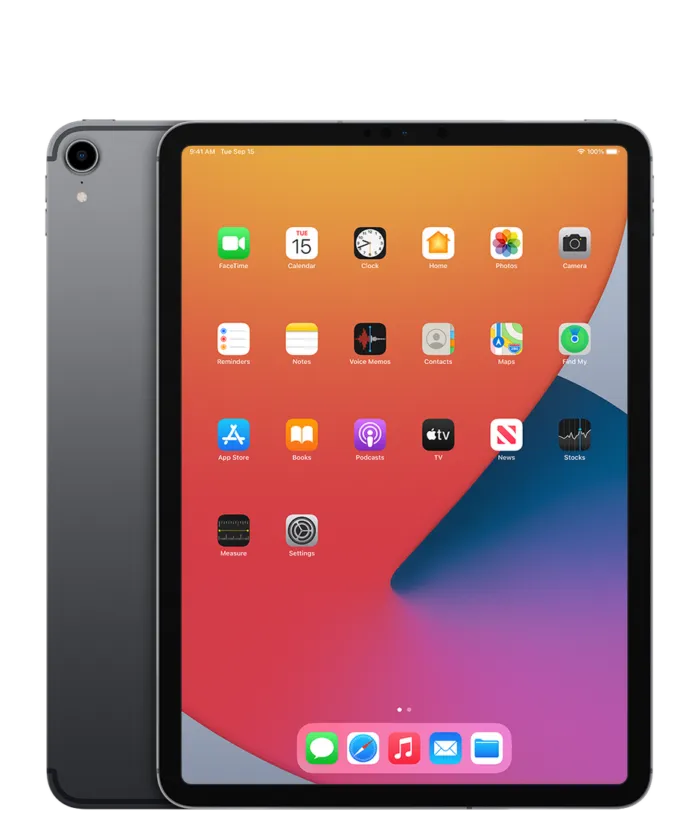 Apple iPad Pro 11" 1st Gen (2018) 256GB WiFi + Cellular / Gris / Grade D