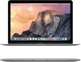 Apple MacBook (Retina, 12" Early 2015) / Cinzento Sideral / Grau C