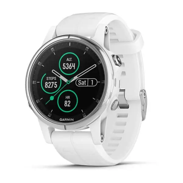 Garmin Fenix 5S Plus / Grau C