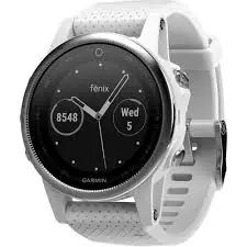 Garmin Fenix 5S
