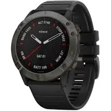 Garmin Fenix 6X Sapphire / Grau C