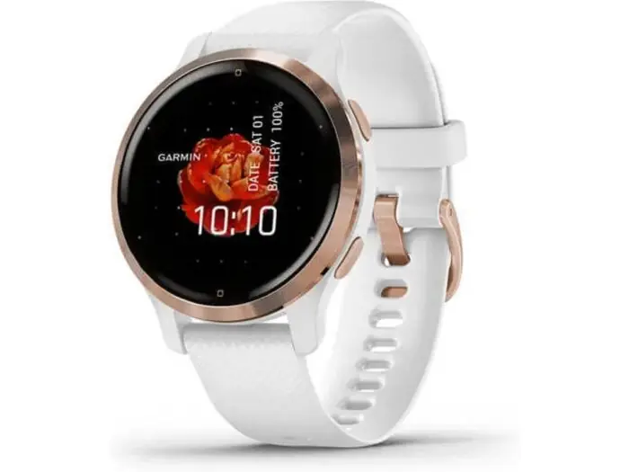 Garmin Venu 2S / Grau C