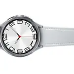 Samsung Galaxy Watch6 Classic 43mm LTE R955 / Grad A