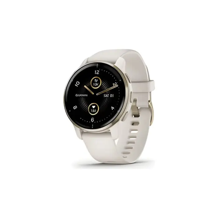 Garmin Venu 2 Plus / Grau C