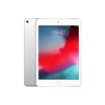 Apple iPad Mini 7.9" 5th Gen (2019) 64GB WiFi + Cellular 64GB Prateado recondicionado Grau A