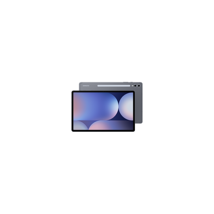 Samsung Galaxy Tab S10 Plus 256GB WiFi X820 / Plateado / Grado B