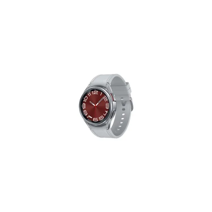 Samsung Galaxy Watch6 Classic 47mm LTE R965 / Grau B
