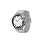 Samsung Galaxy Watch6 Classic 47mm R960X LDU / Grad C