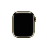 Apple Watch Series 9 41mm GPS+Cellular Cassa in acciaio inossidabile / Grado B
