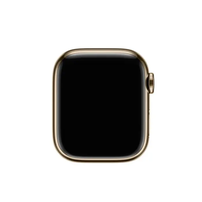 Apple Watch Series 9 41mm Stainless Steel Case