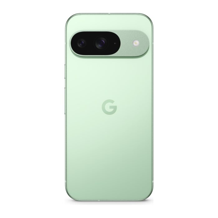 Google Pixel 9 5G 256GB / Grün / Note B
